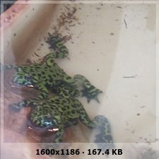 022d32d3d78ed3cf98e9c9d3cf3efc45o