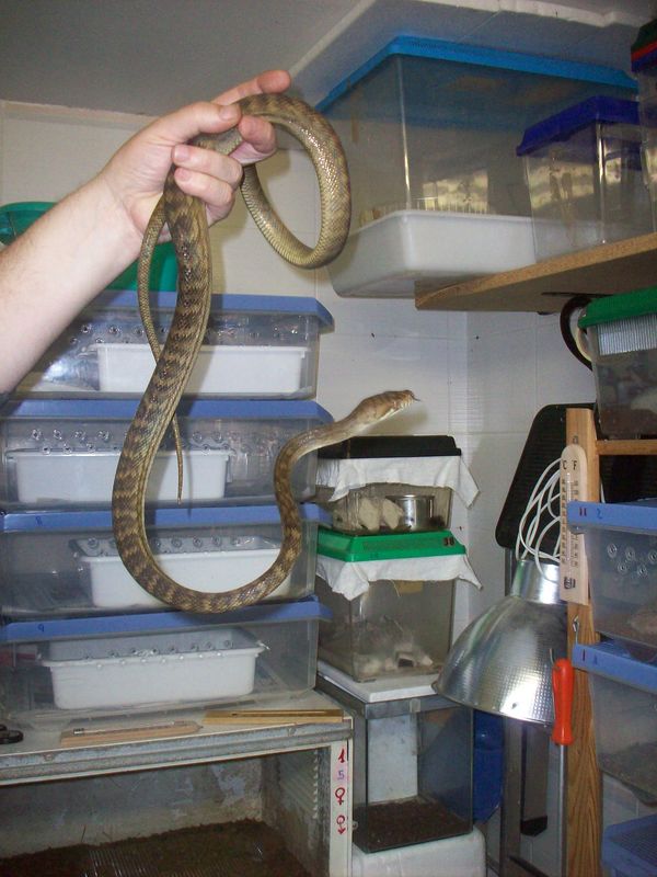 100_1929 [Resolucion de Escritorio].JPG