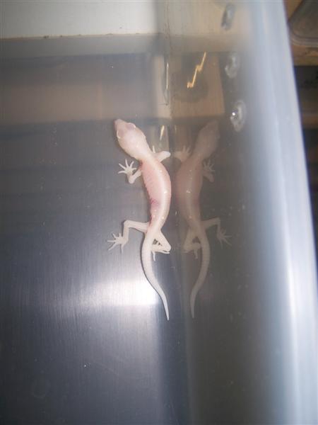 100_2560 (Medium).JPG