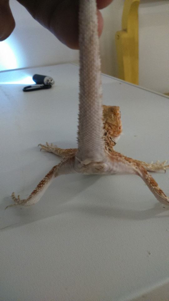 10350402 10152554212227918 8966871394262652925 n