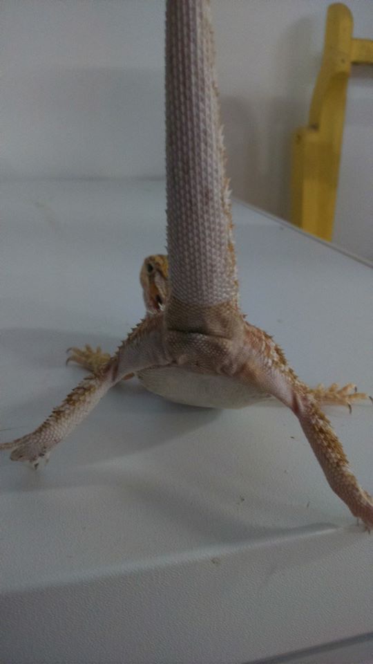 10401890 10152554245467918 5561792295148019370 n