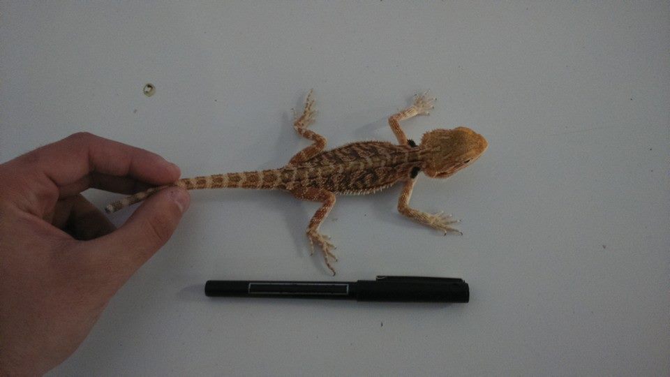 10420177 10152554211762918 4890424238688824033 n