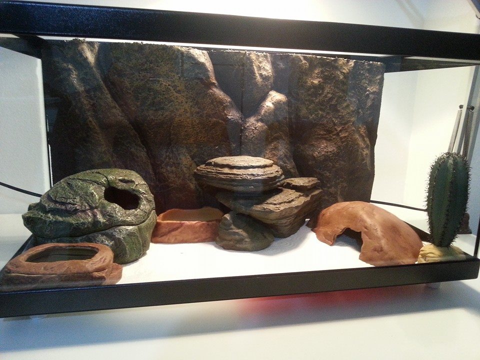 10430837 10153018216407178 4493734880081596015 n