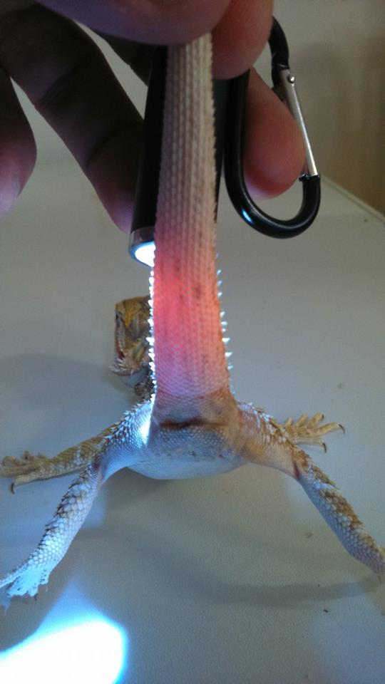 10480207 10152554245627918 1644146814282454380 n