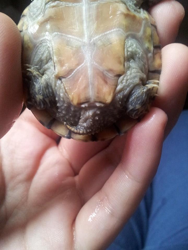 10610927 10204051427462311 6209184846671336372 n