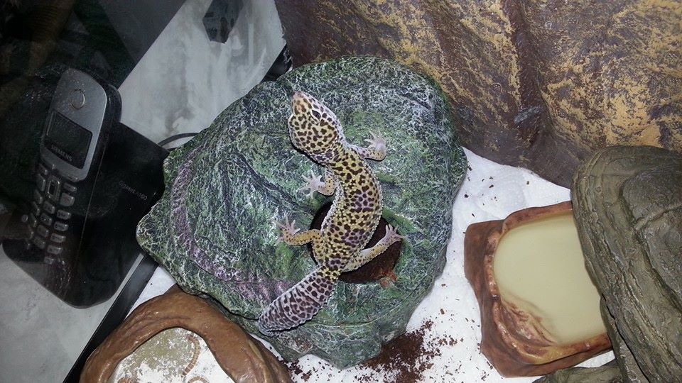 10672202 10153202446642178 3118941456450390024 n