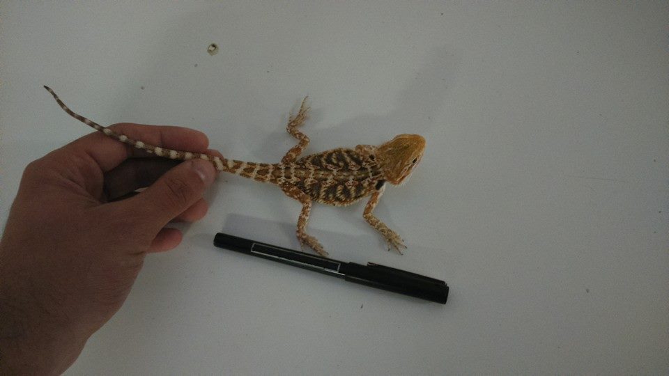 10806263 10152554201977918 13969045630231204 n