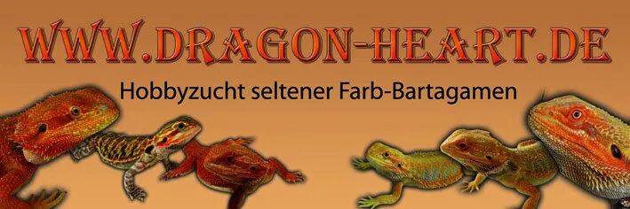 10841412 766608783394144 1271010857 n