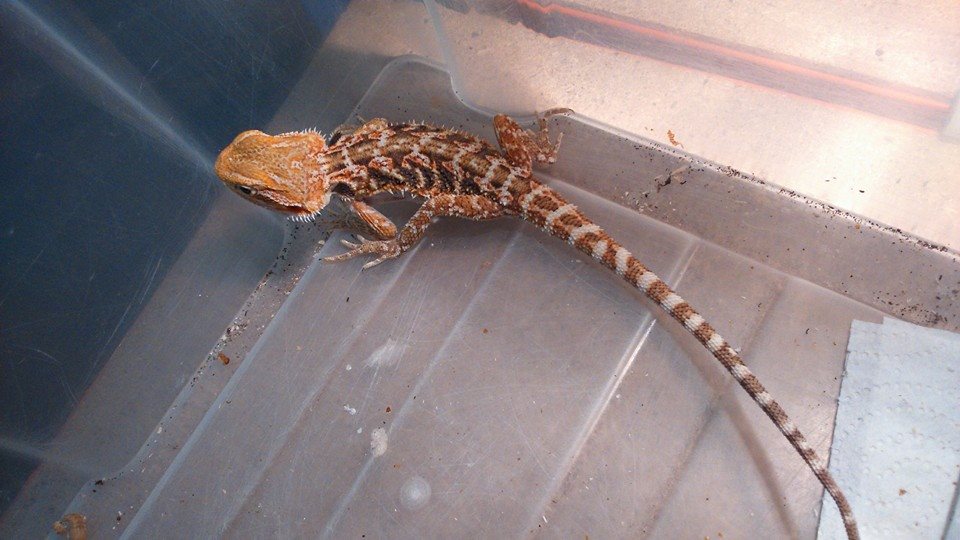 10868036 10152554201707918 3752064434970454137 n