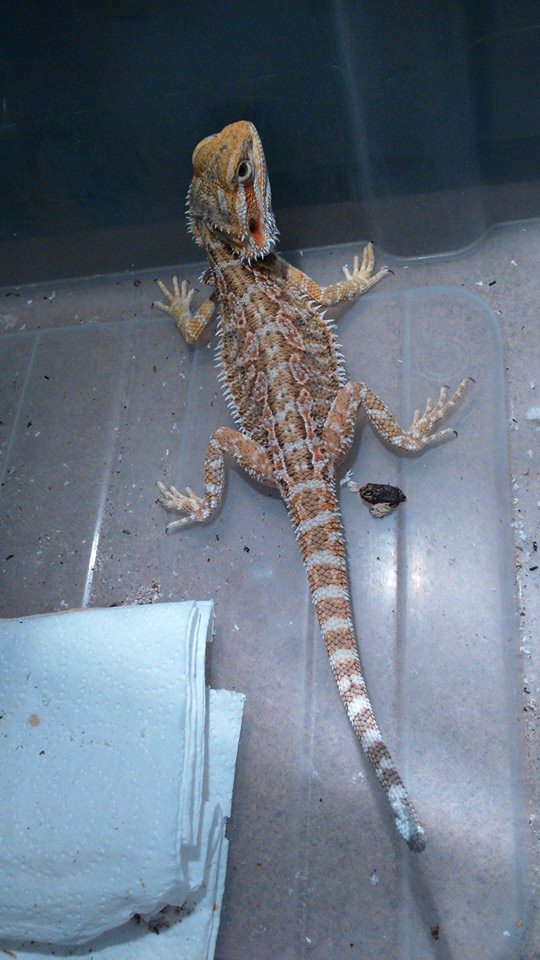 10868040 10152554245122918 335660833777267725 n