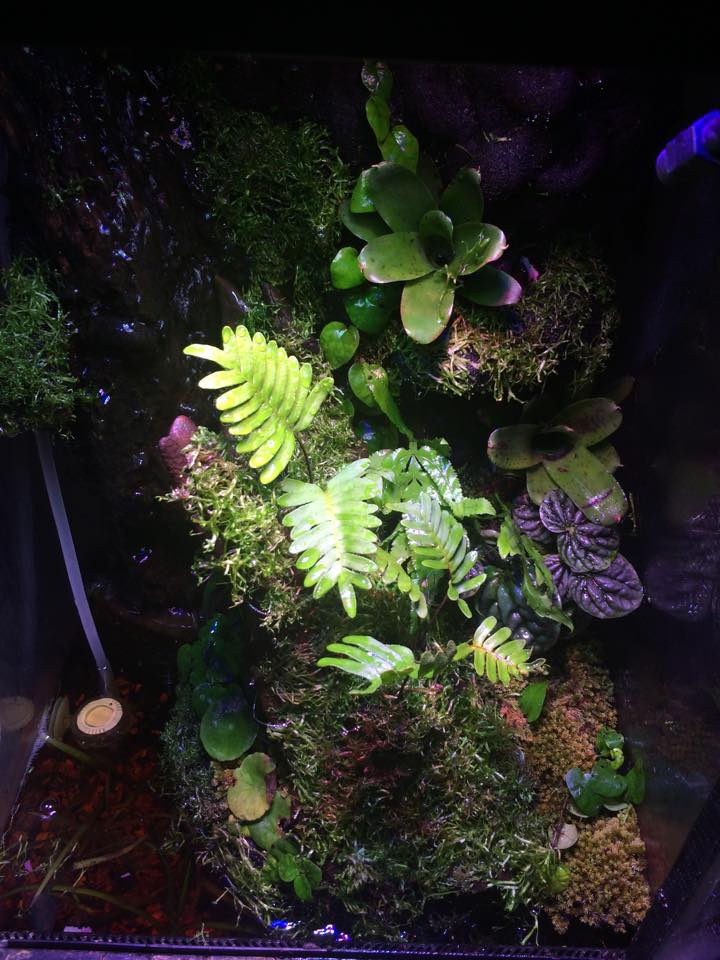 11121311 939840076036552 913191112 n