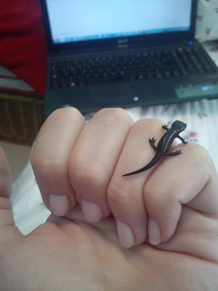 11201 10201565090760901 72930954 n