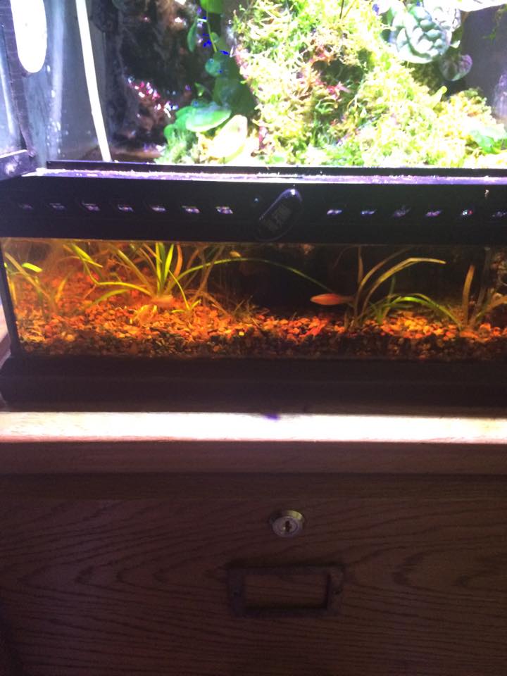 11225928 939840046036555 971624706 n