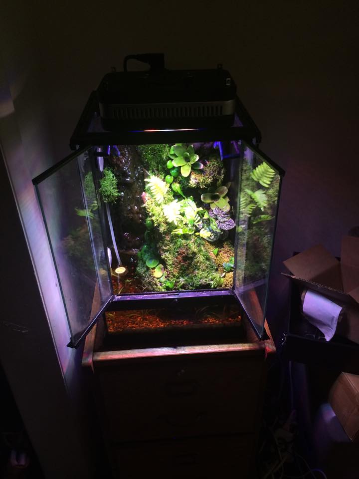 11262253 939840049369888 278605478 n