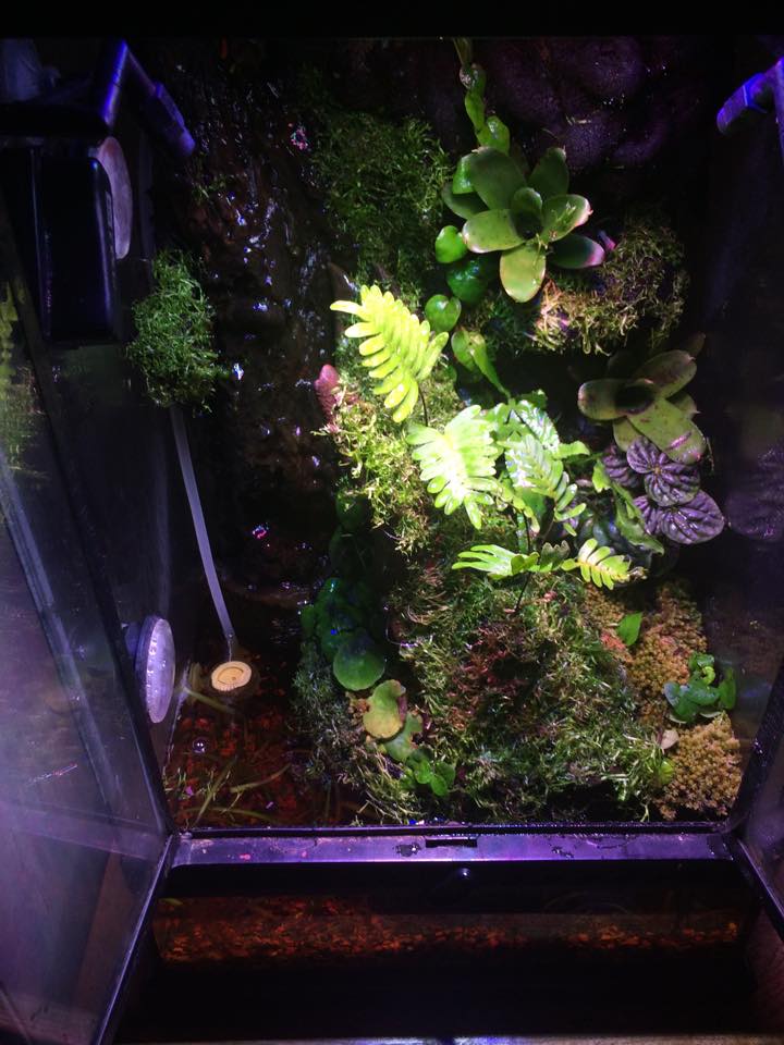 11267710 939840092703217 453804794 n