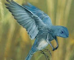 1146592 10203236249688018 1422920553 n