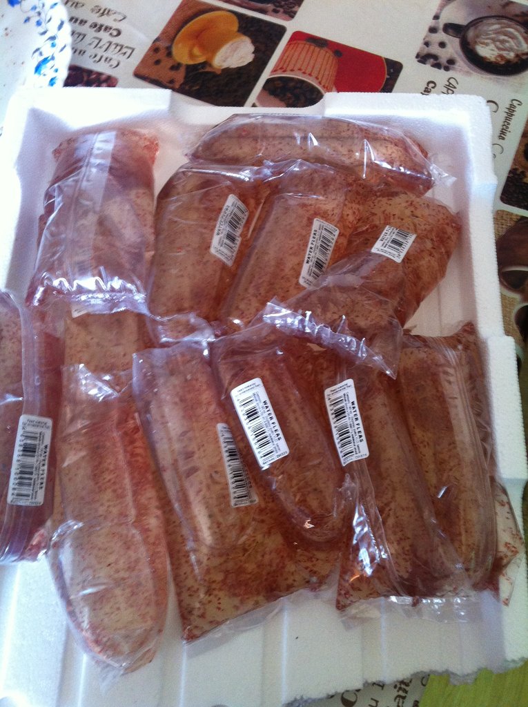 116 Daphnia a porron