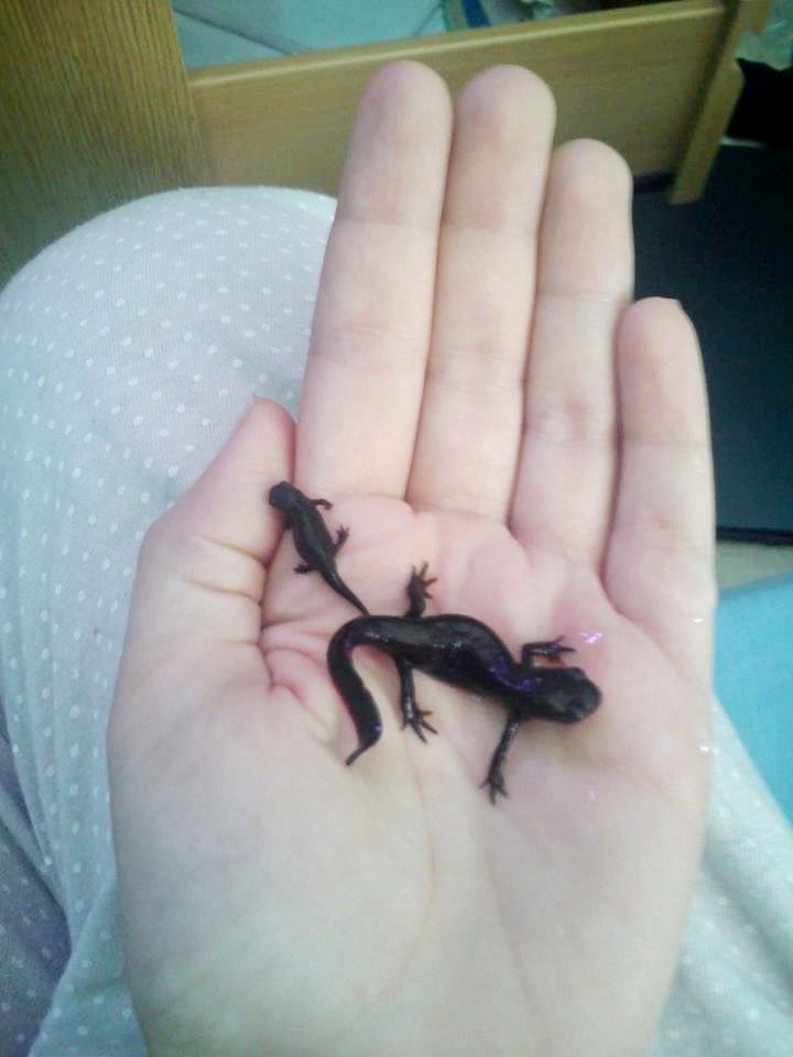 1239502 10201565026039283 752523345 n