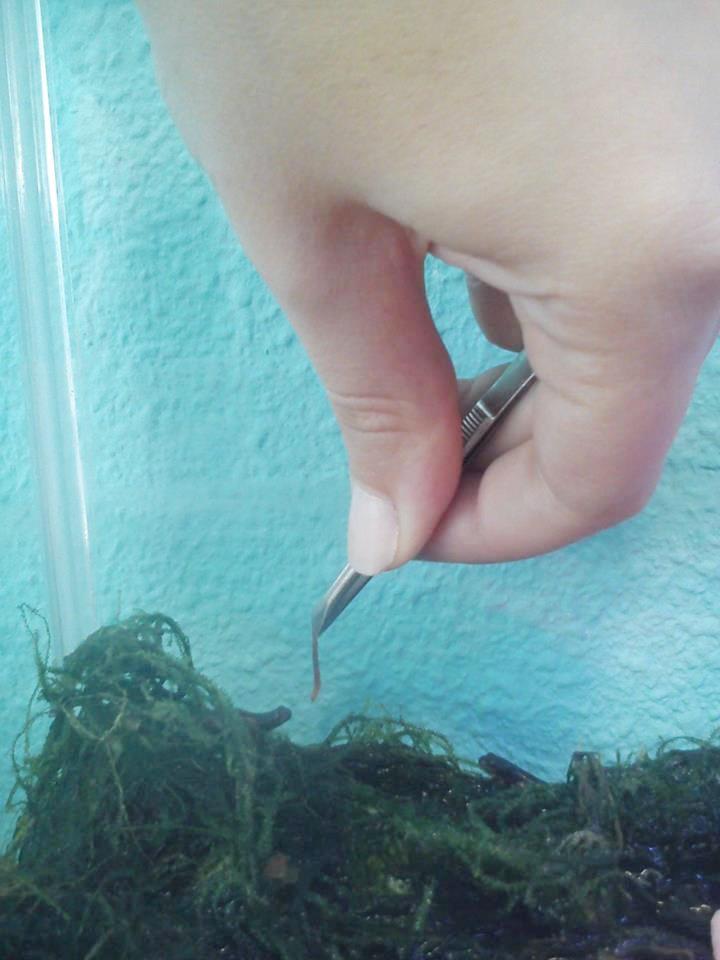 1239545 10201565122601697 352642872 n