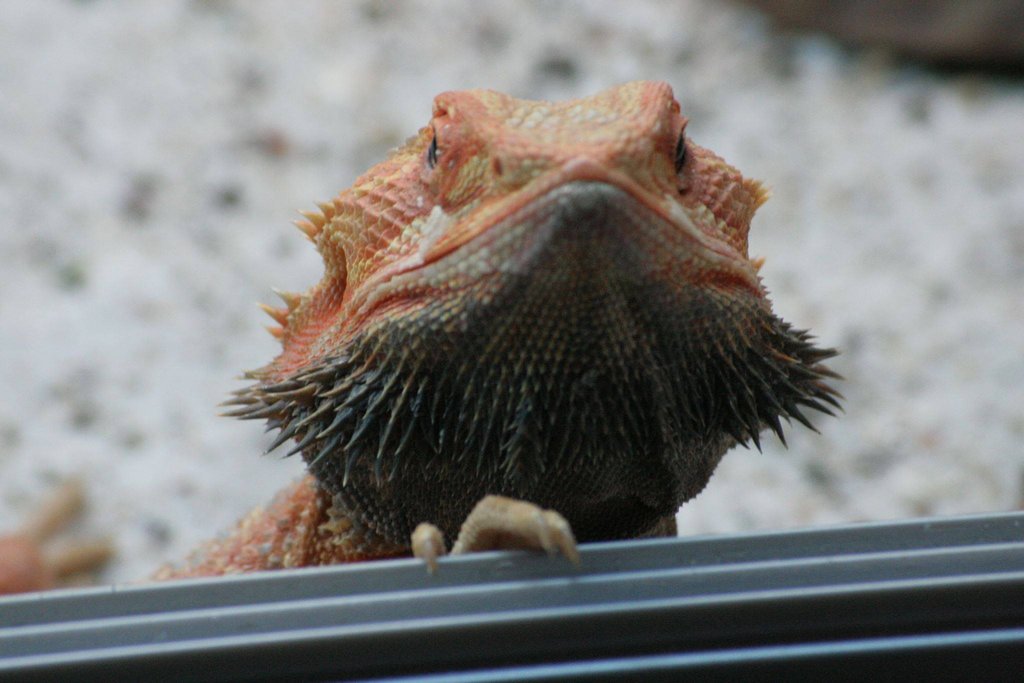 1273124 588377741221102 49802273 o[1]