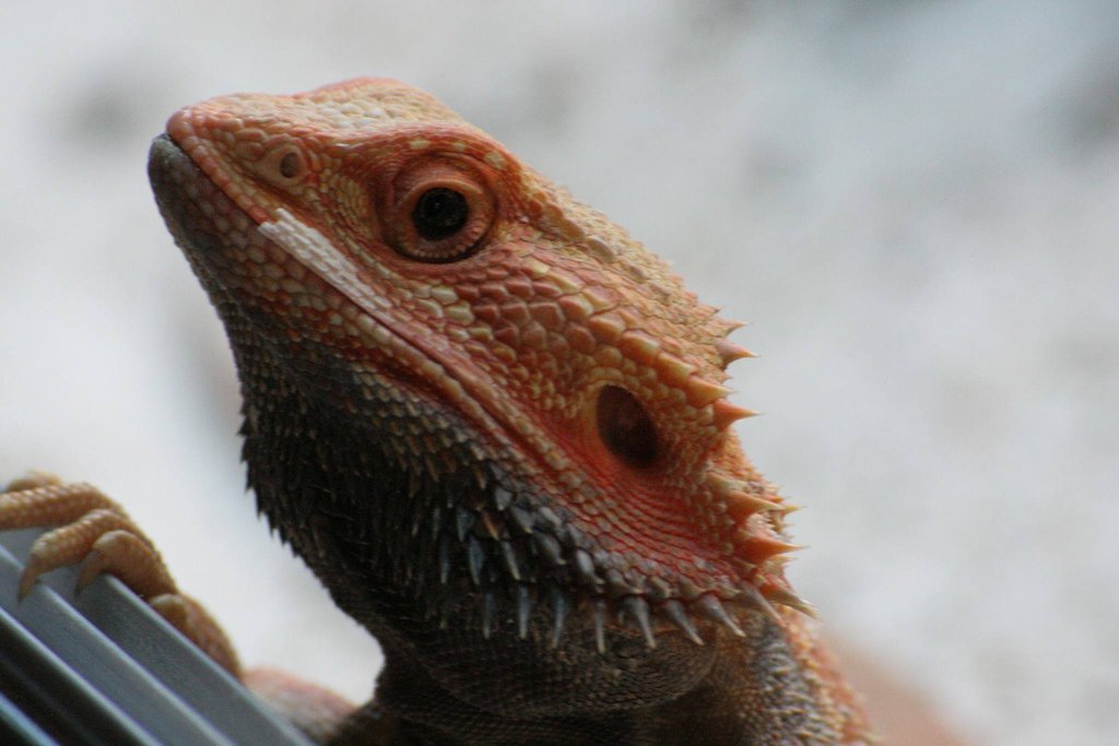 1277573 588377641221112 1604682175 o[1]