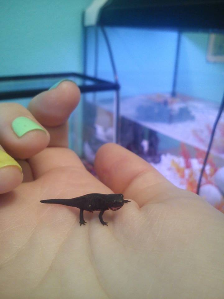 1375816 10201572528026828 1911921635 n