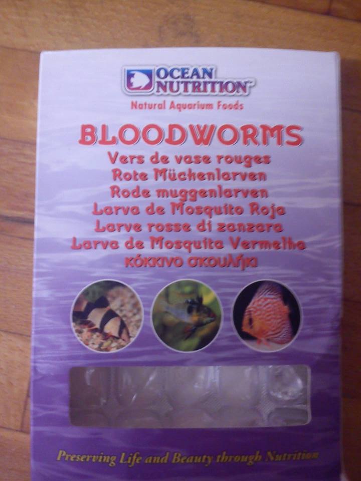 1376371 10201565117921580 108573597 n