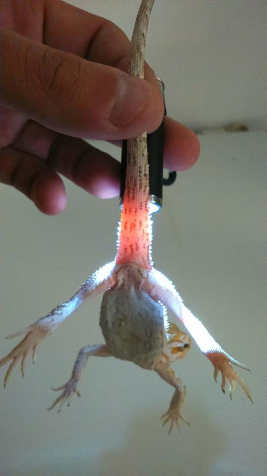 1377566 10152554203127918 6781247393224839910 n