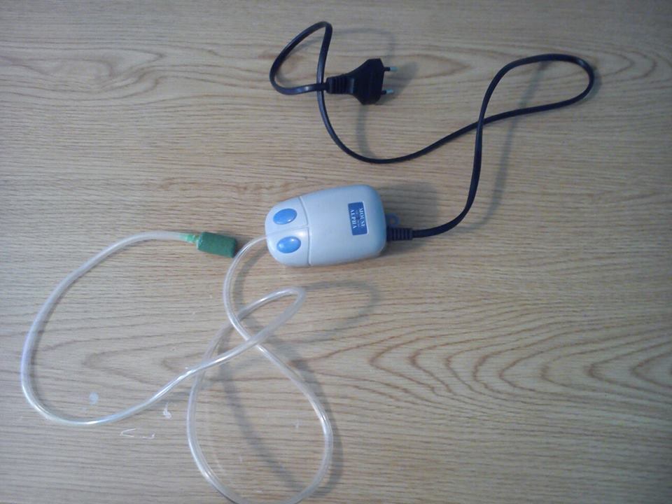 1379748 10201565234764501 1267826324 n