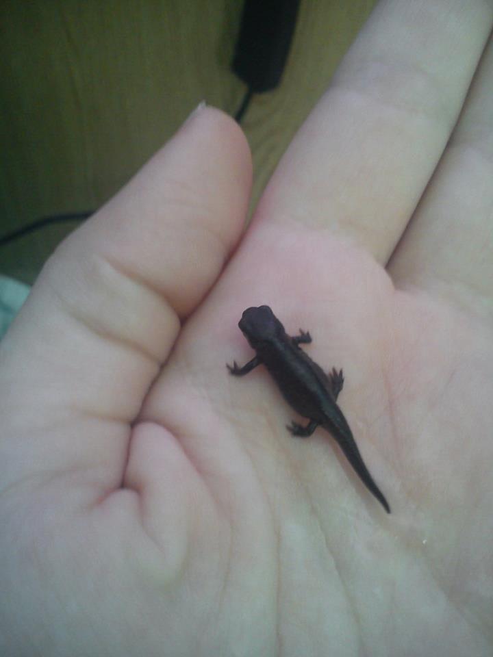 1381453 10201572528786847 1635225058 n