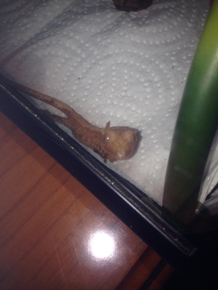 1452220 10201463212959595 570724432 n