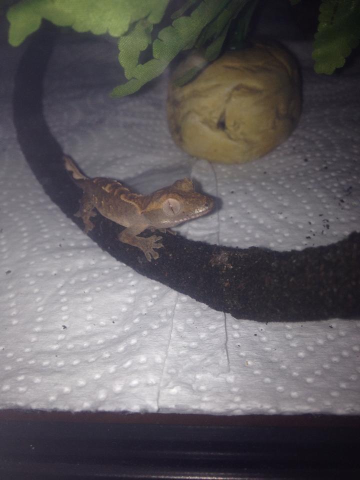 1465167 10201463212839592 592701443 n