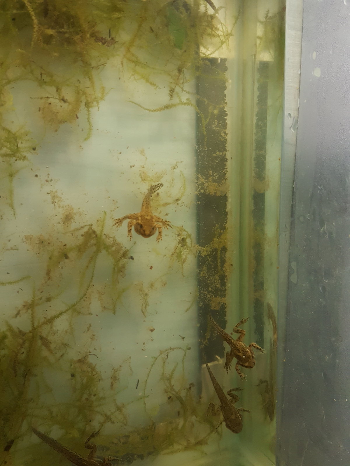 1471967789433-1874910915