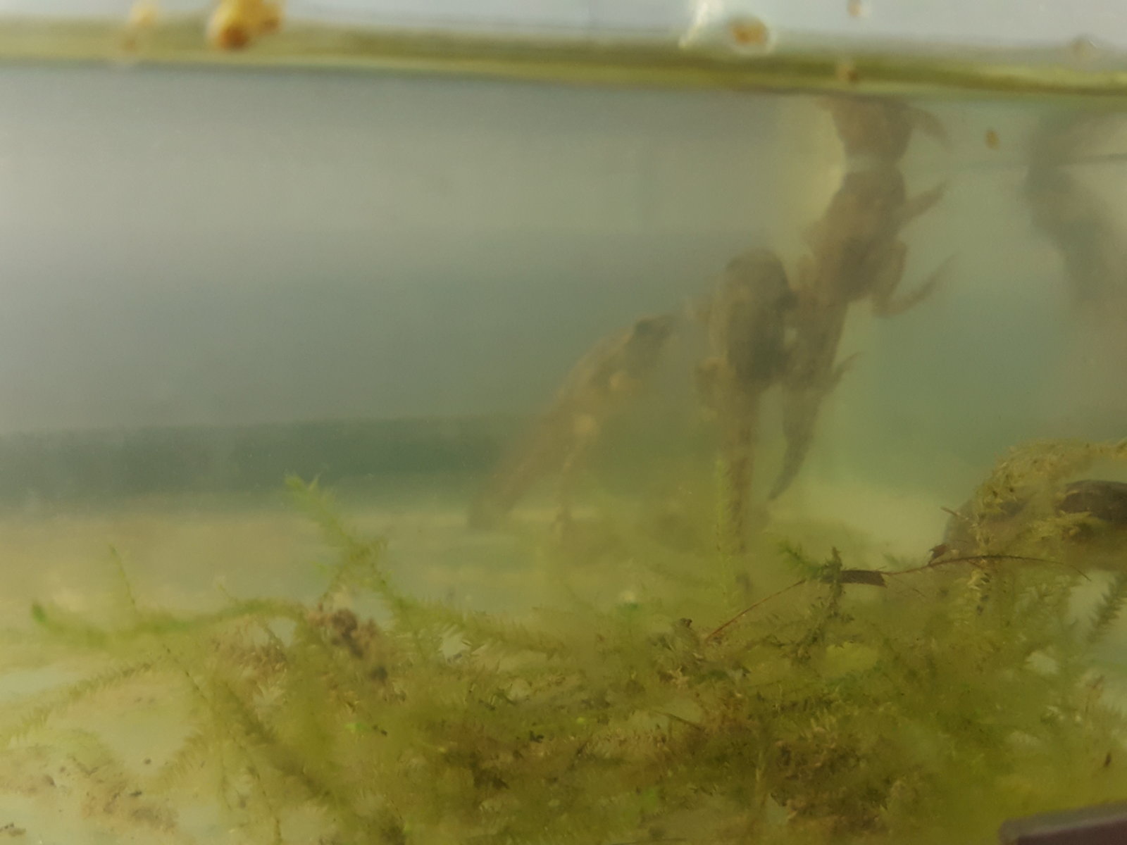 1471967844653-541187075