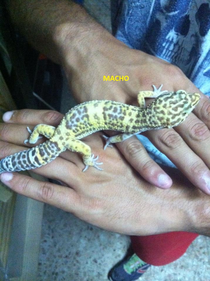 1473709 181650472028268 1665295212 n