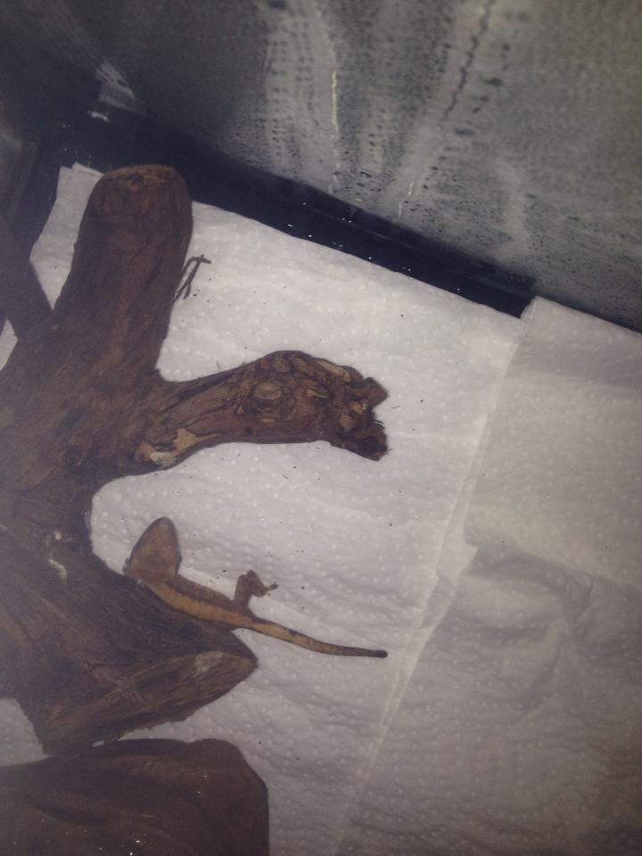 1475830 10201463086356430 1502086571 n