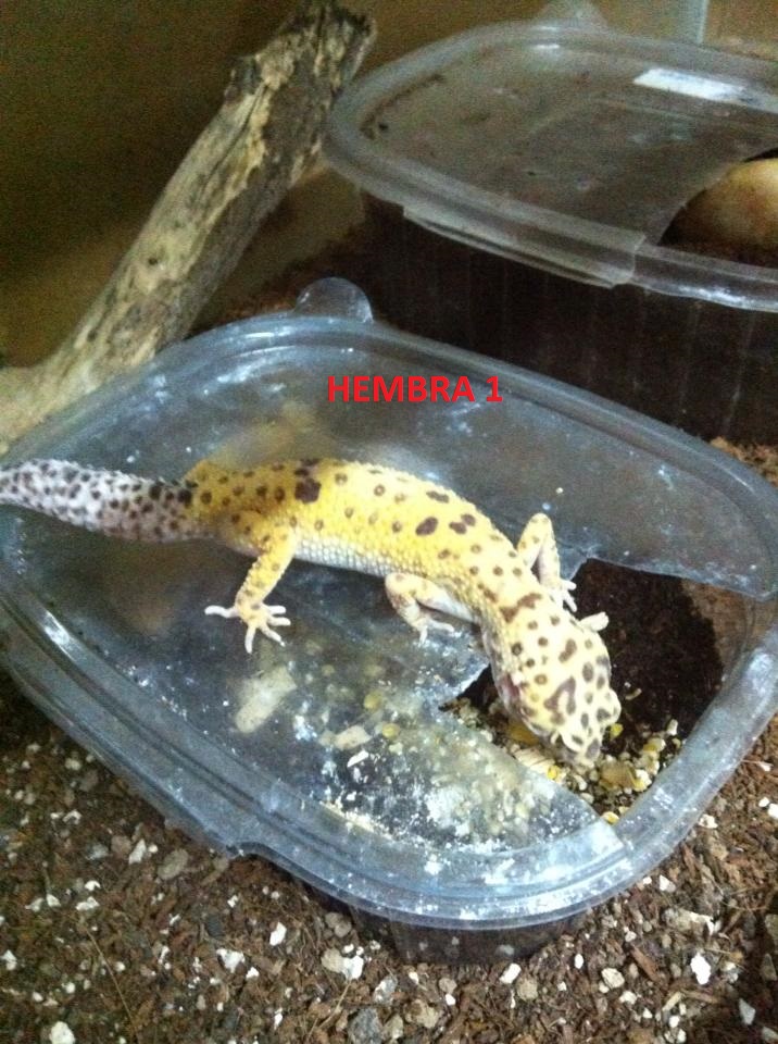 1476928 181650482028267 1240144287 n