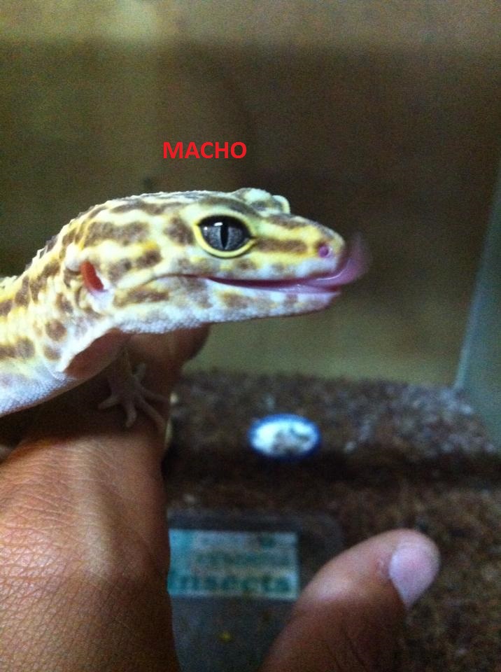 1479582 181650485361600 257201386 n