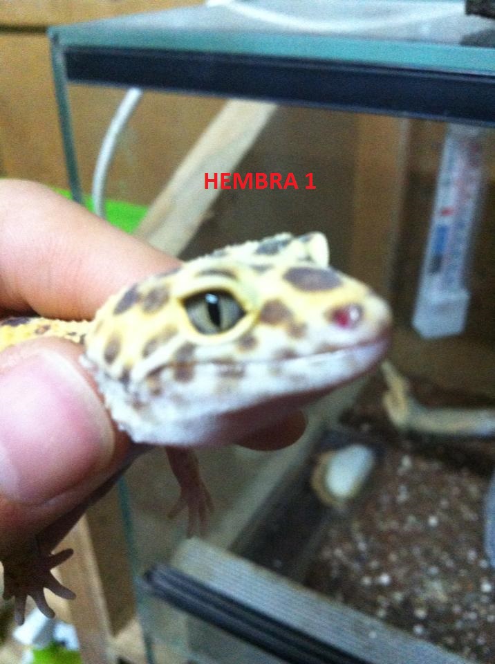 1479818 181650478694934 1938625622 n