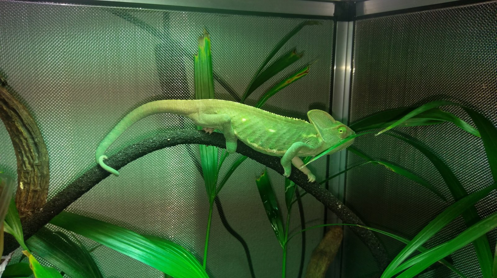 1481301229183-1880922358