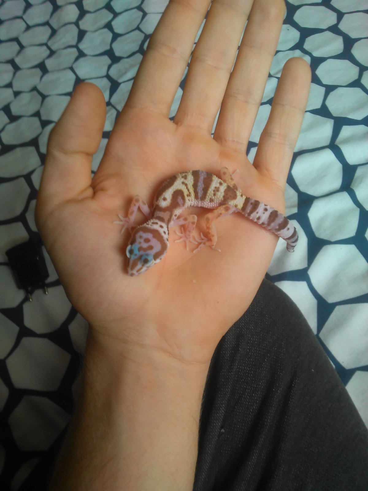 1481372127765-389918880