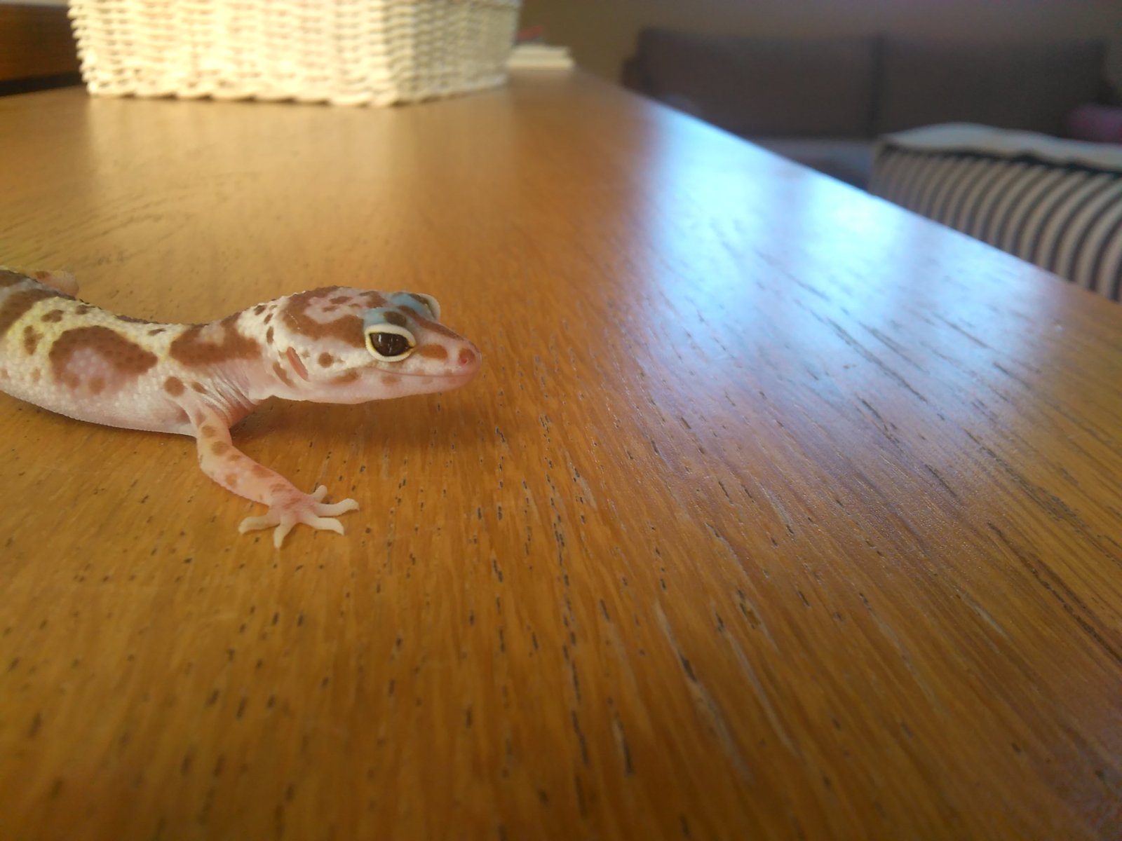 14815359917741418576595