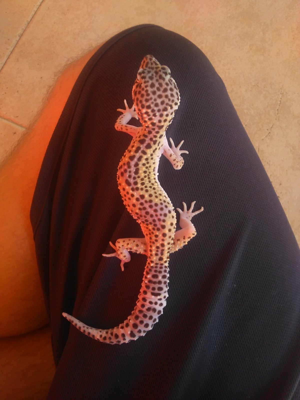 1482329459389-772328445