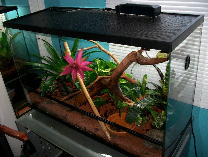 149876 140679225984808 100001281942295 223432 4491958 n