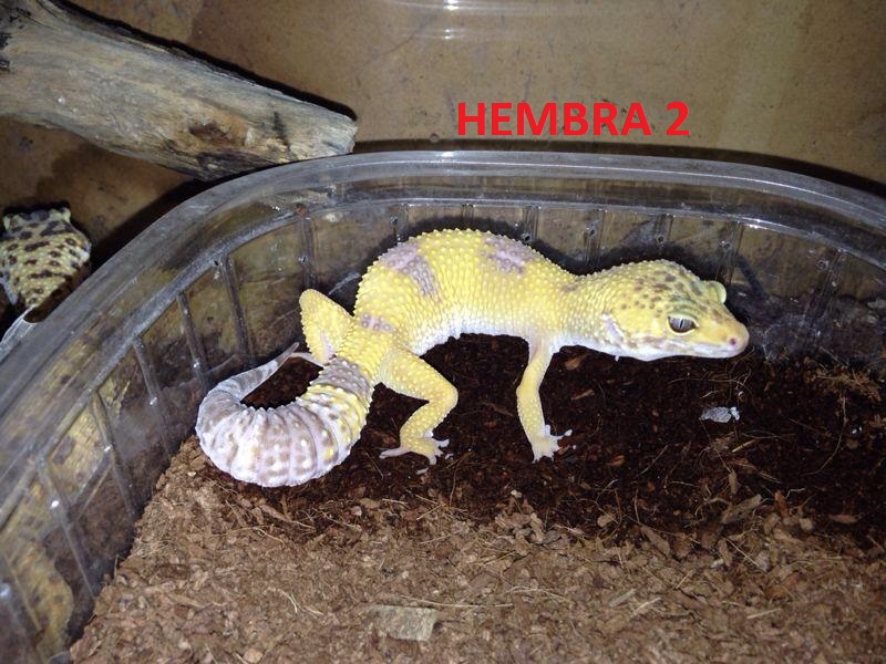 1502036 181650488694933 820615780 n