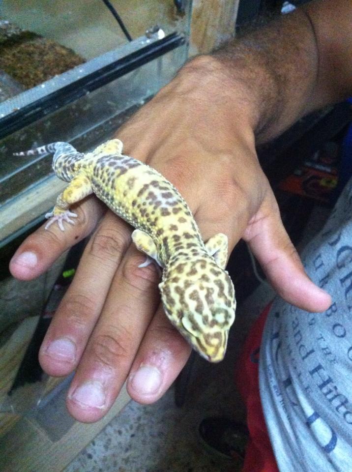 1502142 181650475361601 554719175 n