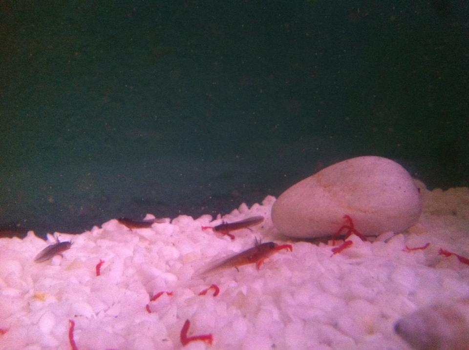 154423 10201103859670412 2006760488 n