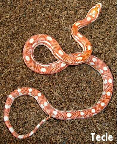 18 de octubre de 2008   DSC00661-001-reducido.jpg