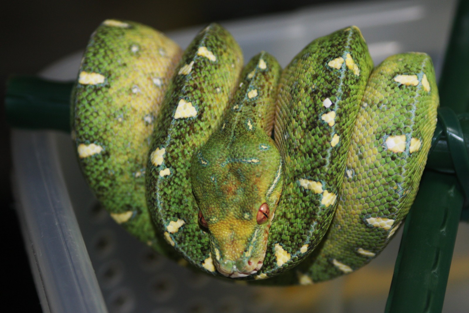 19 once meses y veintitres dias.JPG