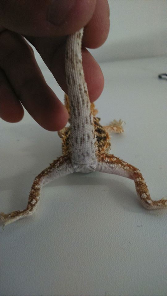 1911996 10152554202517918 5884705171506443739 n